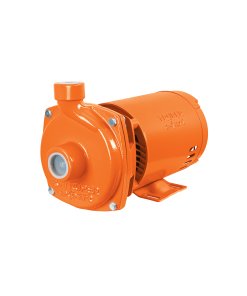 Expert Bomba Centrífuga para Agua, 1 HP, TRUPER EXPERT - Alta Potencia - 1 Unidad - Clave 100433