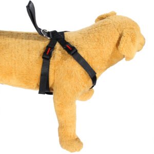 Cinturón de seguridad para mascotas MIKELS CISMA