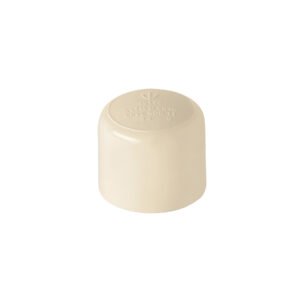 Tapón de CPVC 3/4', FOSET
