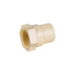 Conector hembra de CPVC 3/4', FOSET