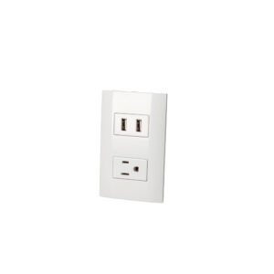 Placa 1 contacto 1 USB doble 1/3, línea Americana, color blanco Surtek P432B