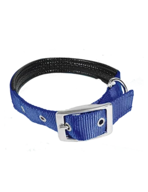 Hi Tools Collar Reforzado: Seguridad y Durabilidad para tu Mascota 2.0 cm x 50 cm 019198