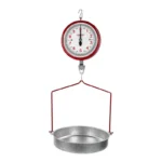 BASCULA DE 10KG T/RELOJ C/CHAROLA COLGANTE TECNO