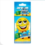 AROMATIZANTE DRY SMILE-FRESH AIR P/AUTO