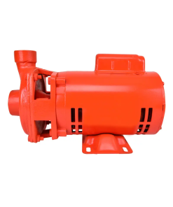 BOMBA  0.75 HP                               EVANS
