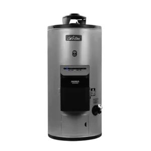 CALENTADOR DEPOSITO CALOREX MAXIMU ADVAN WIFIG10LP