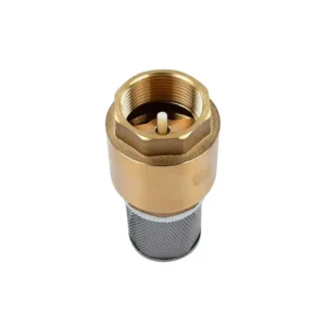 CHECK PICHANCHA DE 11/4" CANASTILLA REMOVIBLE DICA