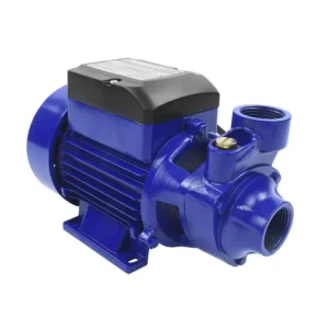 BOMBA 0.50 HP PERIFERICA 120V IUSA*