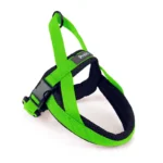 PECHERA TIPO NORUEGO GDE VERDE P/PERRO