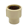 ADAPTADOR CPVC HEMBRA 3/4" CON INSERTO METALICO