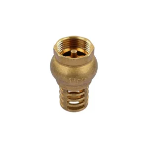 CHECK PICHANCHA DE 1" CANASTILLA BRONCE DICA