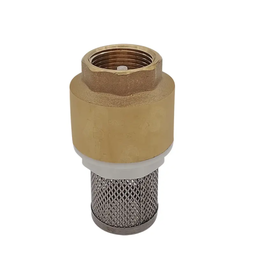 CHECK PICHANCHA C/CANASTILLA ACERO INOX 3/4" DICA