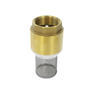 CHECK PICHANCHA C/CANASTILLA ACERO INOX 11/4" DICA