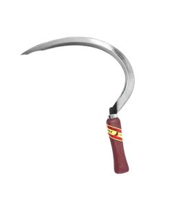 HOZ # 0  PAJARITA. DORADO