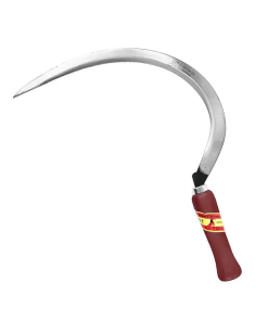 HOZ # 1  PAJARITA. DORADO