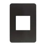 PLACA DE 2 V. NEGRO MATE CENTRADO C/CHASIS QZGO