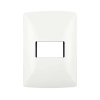 PLACA DE  1 V. BLANCO      C/CHASIS NVA EVOL