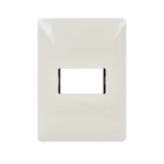 PLACA DE 1 V. MARFIL C/CHASIS NVA EVOL