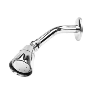 REGADERA CONICA 2-1/2" C/BRAZO Y CHAPETON METALICA