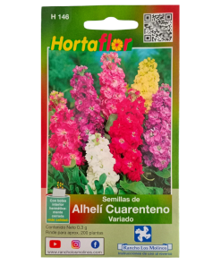 Semillas de Alhelí HORTAFLOR – flores aromáticas y coloridas perfectas para jardines y macetas