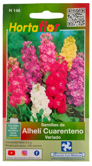 Semillas de Alhelí HORTAFLOR – flores aromáticas y coloridas perfectas para jardines y macetas