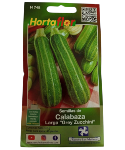 Semillas de Calabaza Larga Grey Zucchini HORTAFLOR – frutos tiernos y versátiles para cocinar y asar