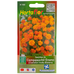 Semillas de Cempasúchil Enano HORTAFLOR – flores tradicionales mexicanas de porte compacto para ofrendas y macetas