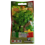 Semillas de Cilantro Liderth HORTAFLOR – variedad aromática para guisos, salsas y cocina mexicana