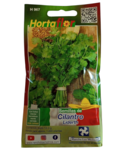 Semillas de Cilantro Liderth HORTAFLOR – variedad aromática para guisos, salsas y cocina mexicana