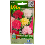 Semillas de Clavel Chabaud HORTAFLOR – claveles elegantes y aromáticos para jardines y ramos florales