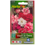 Semillas de Clavel de China HORTAFLOR – flores resistentes y vistosas para bordes, macizos y macetas