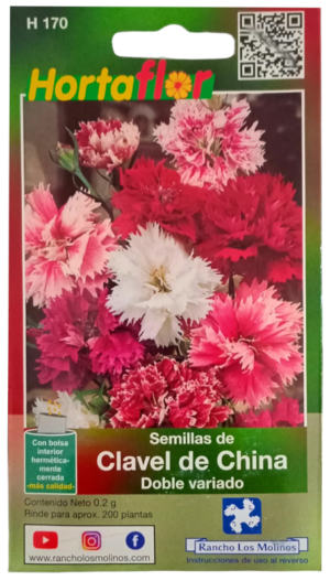 Semillas de Clavel de China HORTAFLOR – flores resistentes y vistosas para bordes, macizos y macetas