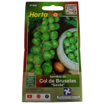 Semillas de Col de Bruselas HORTAFLOR – cultivo fácil de pequeñas coles nutritivas para guisos y asados