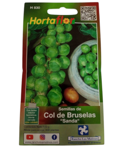 Semillas de Col de Bruselas HORTAFLOR – cultivo fácil de pequeñas coles nutritivas para guisos y asados