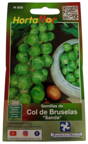 Semillas de Col de Bruselas HORTAFLOR – cultivo fácil de pequeñas coles nutritivas para guisos y asados