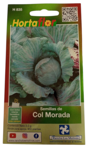 Semillas de Col Morada HORTAFLOR – hojas coloridas con antioxidantes para ensaladas y cocina saludable