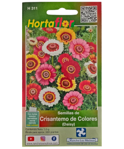 Semillas de Crisantemos de Colores HORTAFLOR – mezcla de flores multicolor para ramos y jardines duraderos