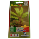 Semillas de Epazote HORTAFLOR – hierba aromática tradicional para mejorar el sabor y digestión de frijoles