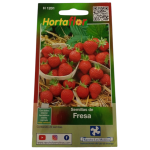 Semillas de Fresa HORTAFLOR – siembra sencilla para obtener frutos dulces y jugosos en huertos o macetas