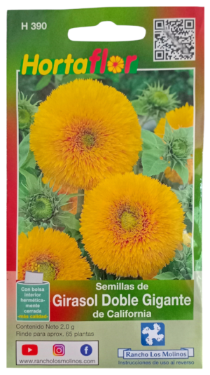 Semillas de Girasol Doble HORTAFLOR – flores ornamentales de pétalos abundantes para arreglos y jardines