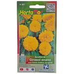 Semillas de Girasol Enano HORTAFLOR – variedad compacta para jardines pequeños con flores brillantes