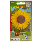 Semillas de Girasol Gigante HORTAFLOR – plantas imponentes con flores espectaculares y decorativas