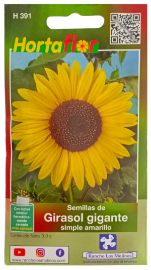 Semillas de Girasol Gigante HORTAFLOR – plantas imponentes con flores espectaculares y decorativas