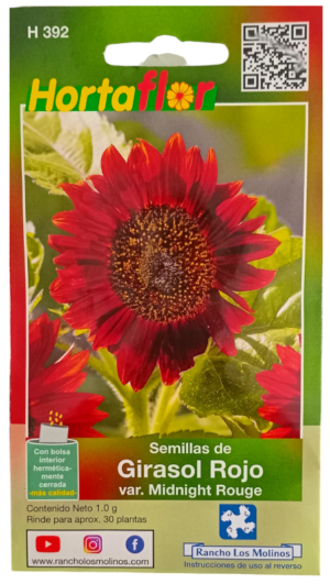 Semillas de Girasol Rojo HORTAFLOR – flores grandes y llamativas que atraen polinizadores al jardín