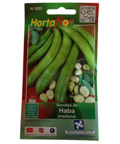 Semillas de Haba HORTAFLOR – leguminosa nutritiva ideal para guisos tradicionales y enriquecer el suelo