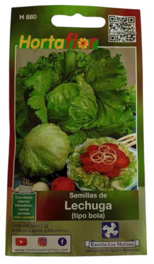 Semillas de Lechuga HORTAFLOR – hojas frescas y crujientes para ensaladas nutritivas todo el año