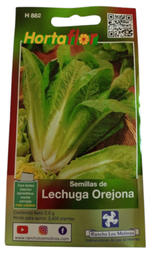 Semillas de Lechuga Orejona HORTAFLOR – hojas grandes y crujientes para ensaladas frescas y nutritivas
