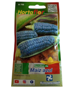 Semillas de Maíz Azul HORTAFLOR – variedad tradicional mexicana para tortillas, atoles y antojitos