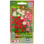 Semillas de Margarita Botoncitos HORTAFLOR – flores pequeñas y resistentes que alegran cualquier jardín