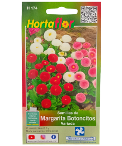 Semillas de Margarita Botoncitos HORTAFLOR – flores pequeñas y resistentes que alegran cualquier jardín